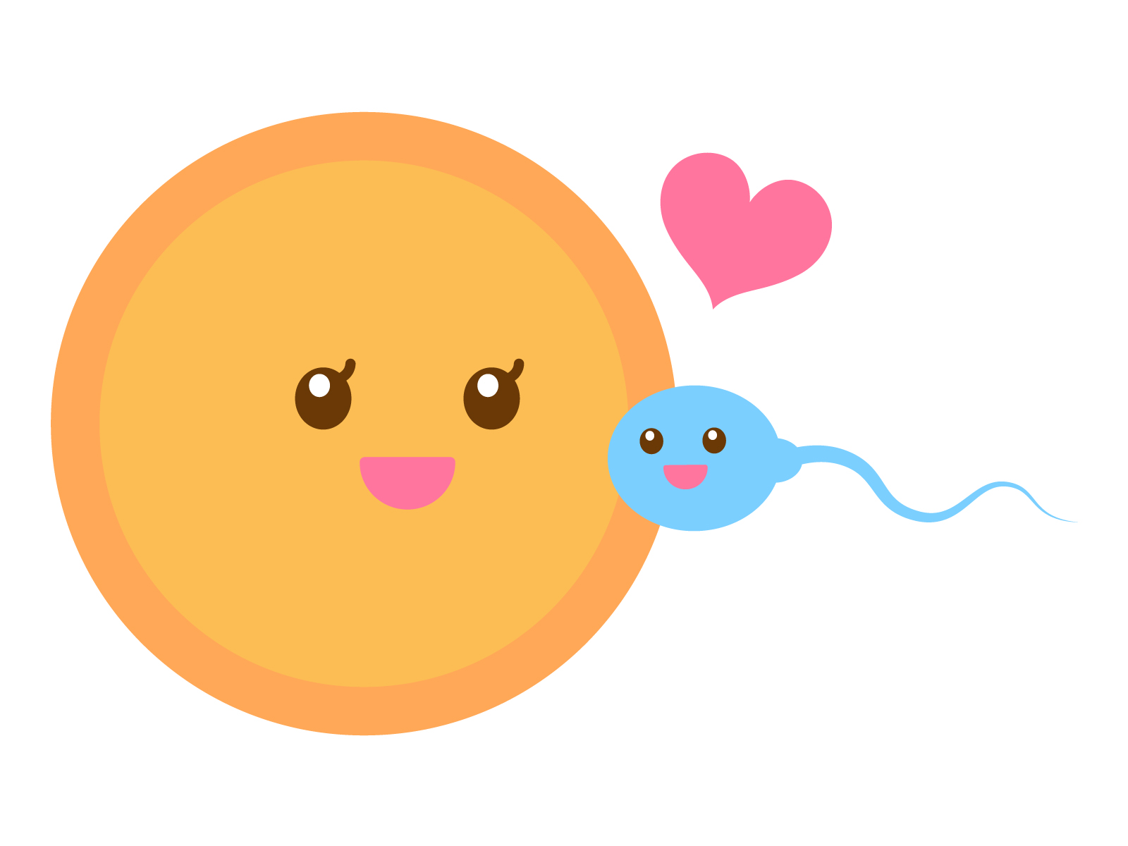 不妊治療　卵子と精子