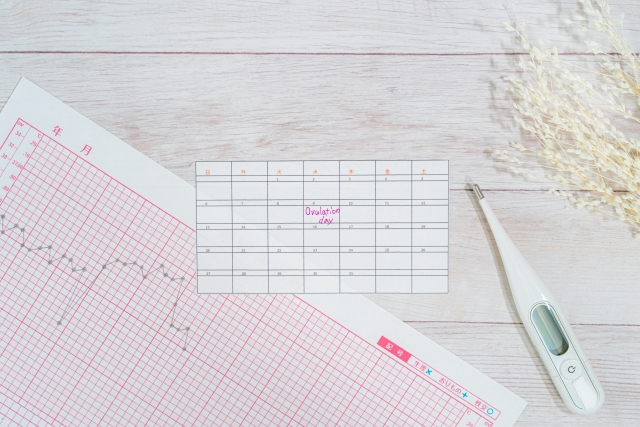 不妊治療で排卵を予測するための体温計と基礎体温表